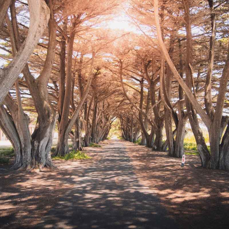 Découvrir sa raison&nbsp;d&rsquo;Être