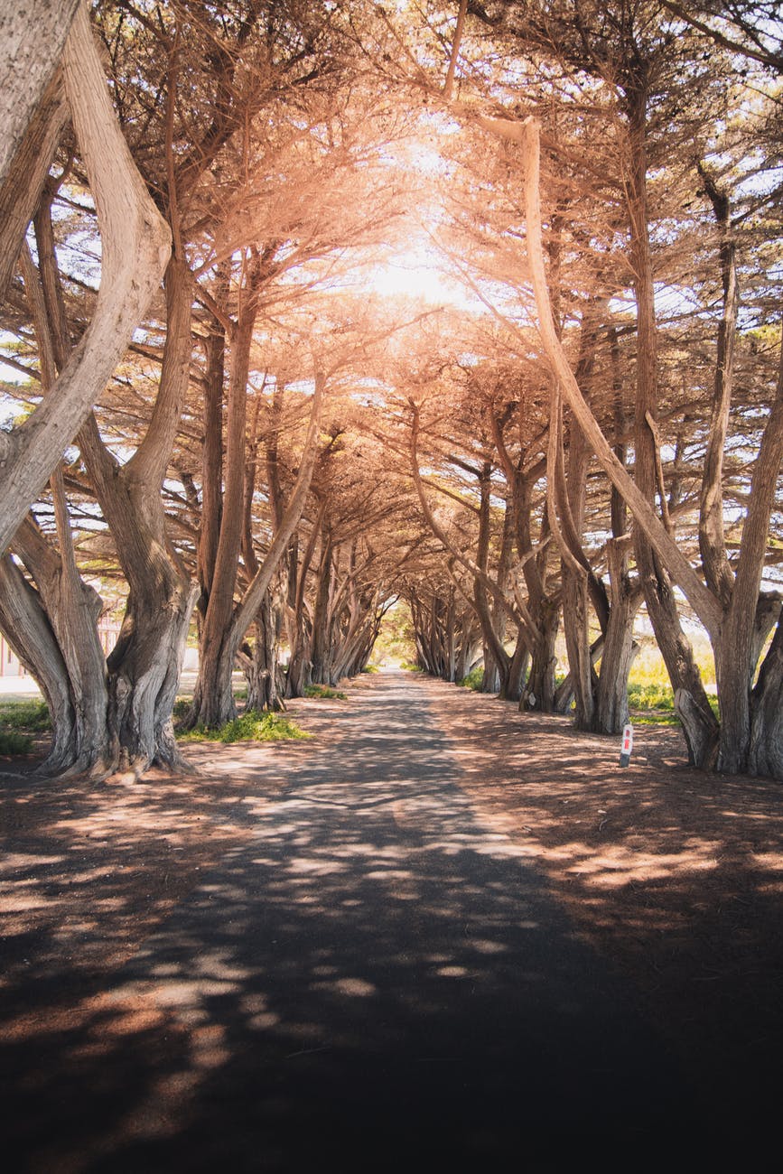 Découvrir sa raison&nbsp;d&rsquo;Être