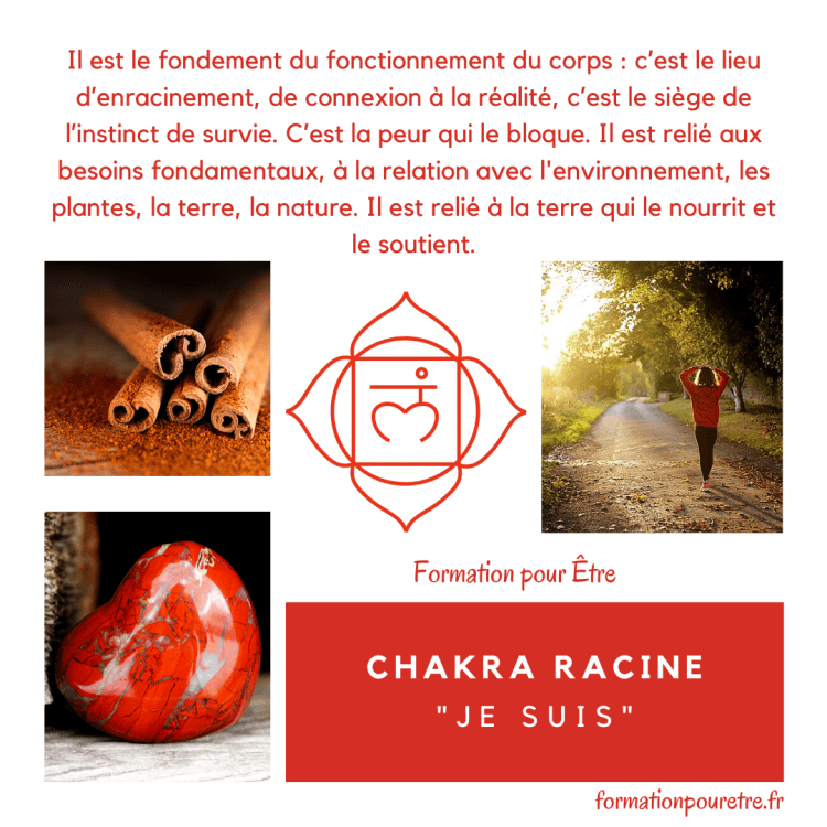chakra racine